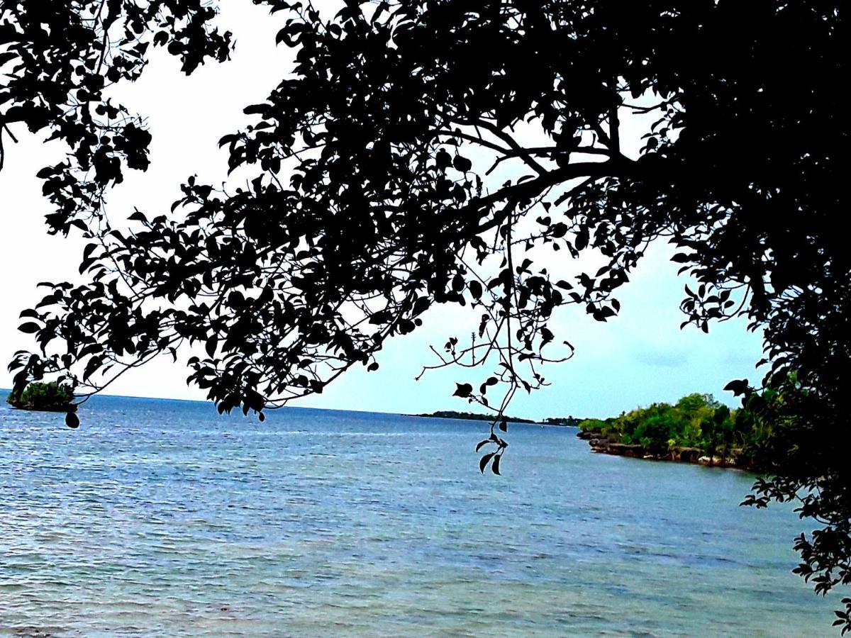 Adayo Cove Resort Siquijor Εξωτερικό φωτογραφία